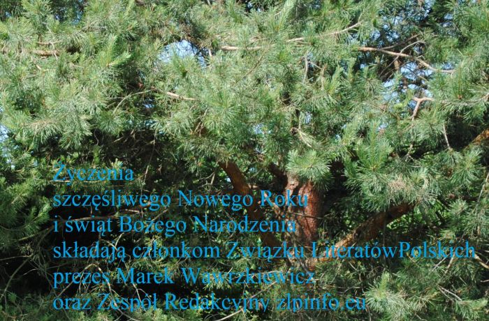 choinka zyczenia na pocztowke1a