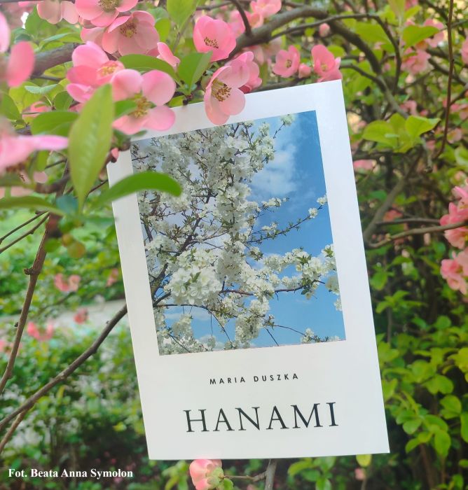 hanami fot. beata anna symolon1
